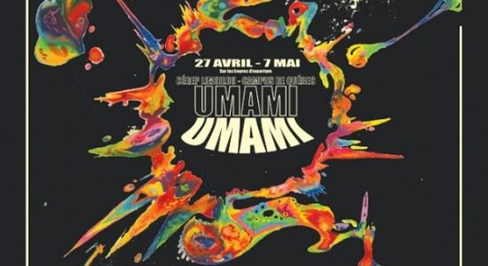 Umami - Exposition des finissants et finissantes en Arts visuels