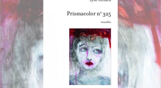 Lyne Richard récompensée pour <em>Prismacolor no 325</em> - Elizabeth Jean-Allard